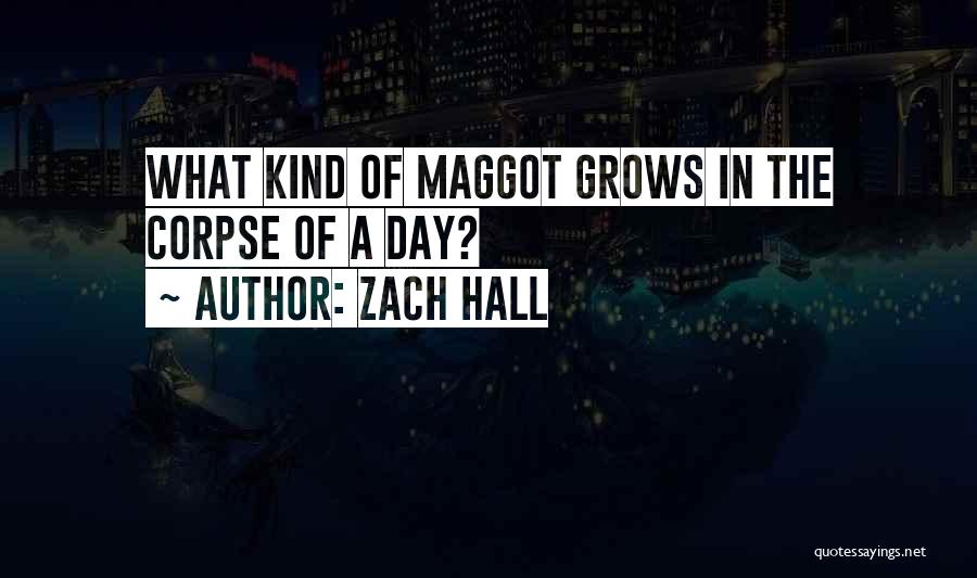 Maggot Quotes By Zach Hall
