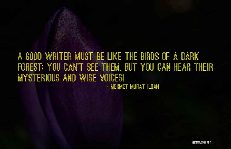 Maghrebspace Quotes By Mehmet Murat Ildan Maghrebspace Quotes By Mehmet Murat Ildan