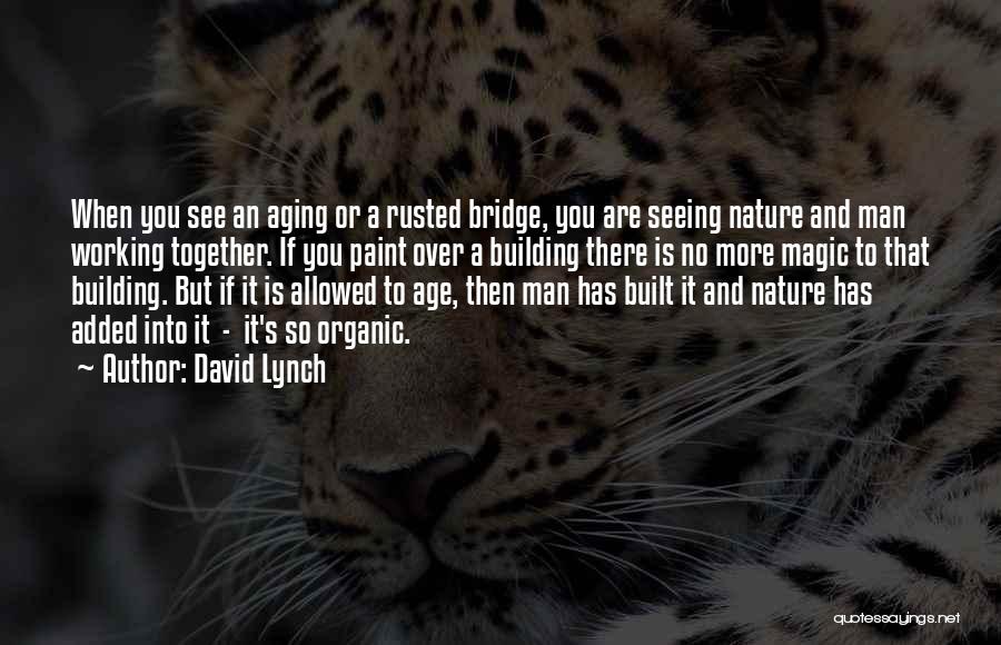 Magic And Nature Quotes By David Lynch