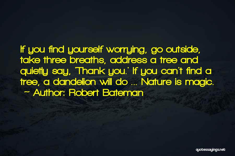 Magic And Nature Quotes By Robert Bateman