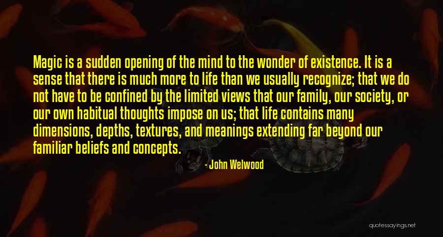 Magic And Wonder Quotes By John Welwood