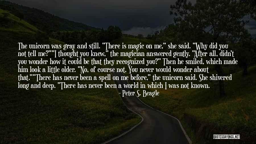 Magic And Wonder Quotes By Peter S. Beagle