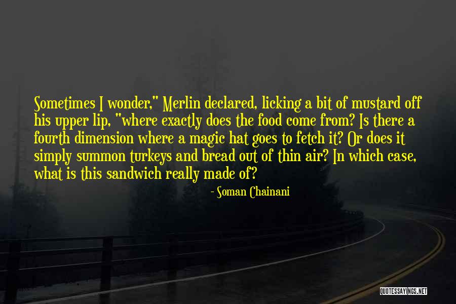 Magic And Wonder Quotes By Soman Chainani Magic And Wonder Quotes By Soman Chainani