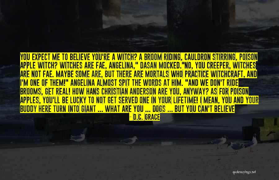Magic Broom Quotes By D.C. Grace Magic Broom Quotes By D.C. Grace