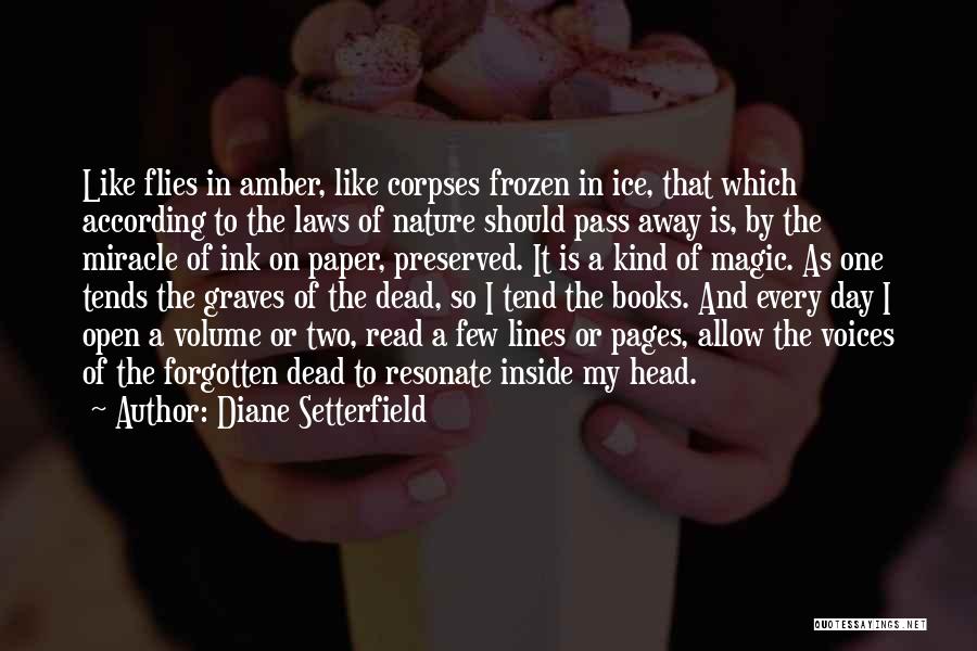 Magic In Books Quotes By Diane Setterfield