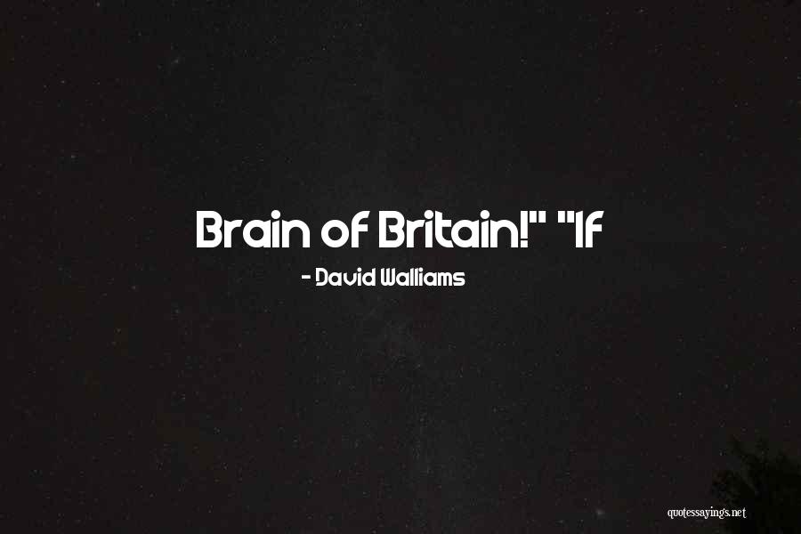 Magic Of Broadway Quotes By David Walliams Magic Of Broadway Quotes By David Walliams