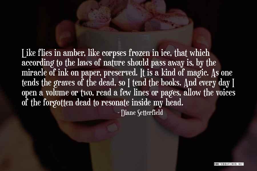Magic Of Reading Quotes By Diane Setterfield Magic Of Reading Quotes By Diane Setterfield