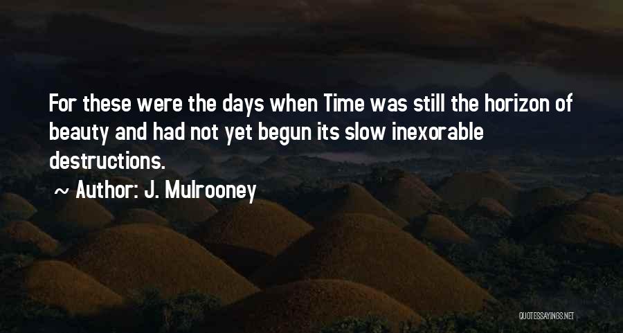 Magical Days Quotes By J. Mulrooney