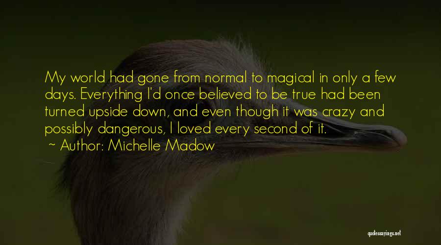 Magical Days Quotes By Michelle Madow