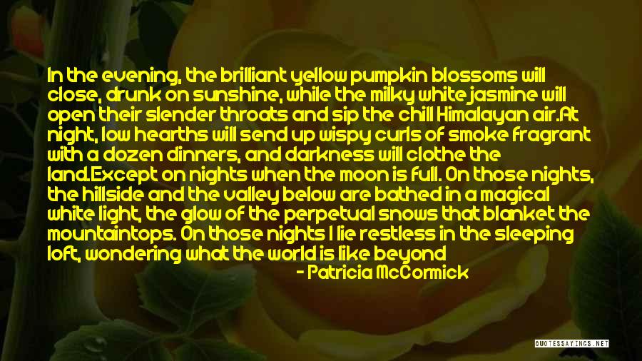 Magical Evening Quotes By Patricia McCormick Magical Evening Quotes By Patricia McCormick