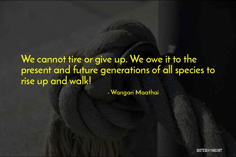 Magical Evening Quotes By Wangari Maathai Magical Evening Quotes By Wangari Maathai