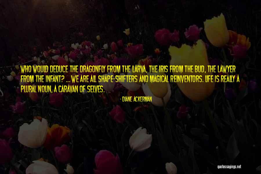Magical Inspirational Quotes By Diane Ackerman Magical Inspirational Quotes By Diane Ackerman