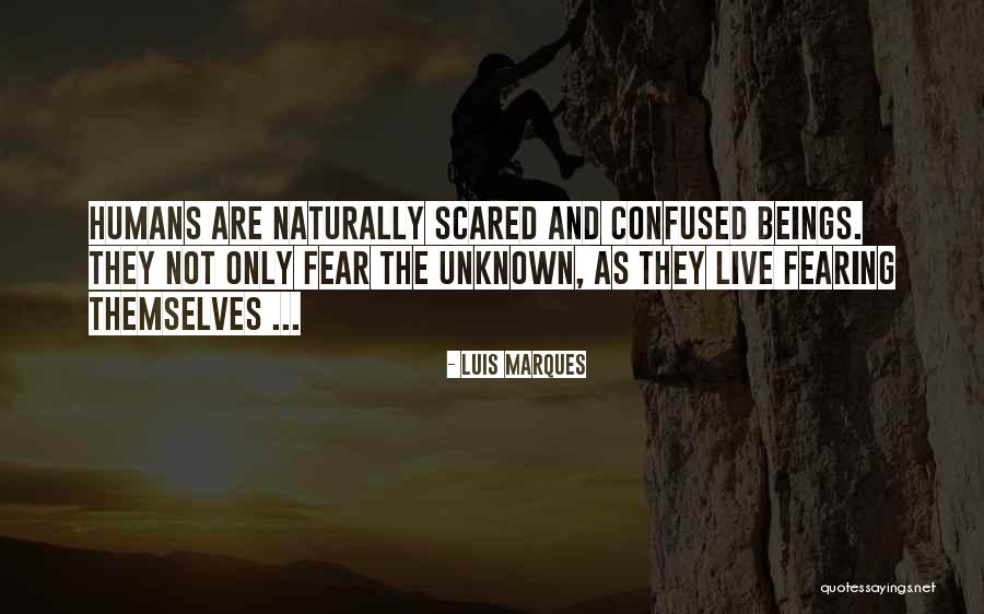 Magical Inspirational Quotes By Luis Marques Magical Inspirational Quotes By Luis Marques