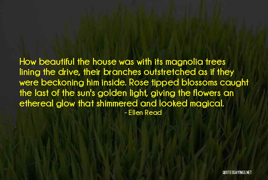 Magical Trees Quotes By Ellen Read