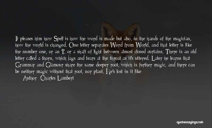 Magician Quotes By Charles Lambert