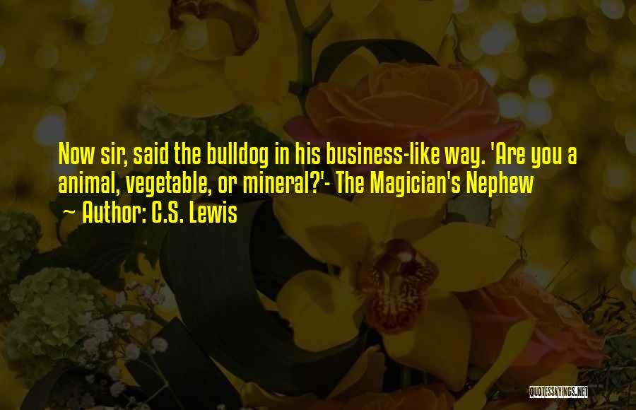 Magician's Nephew Quotes By C.S. Lewis