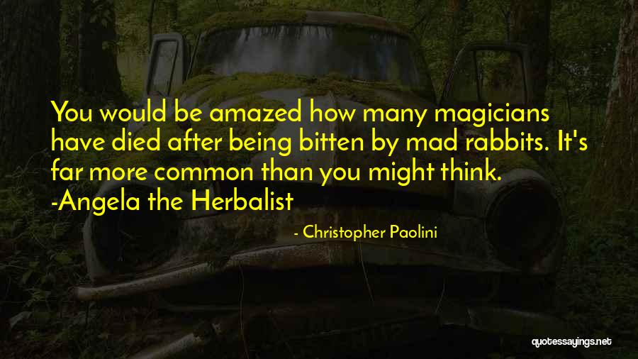 Magicians Quotes By Christopher Paolini