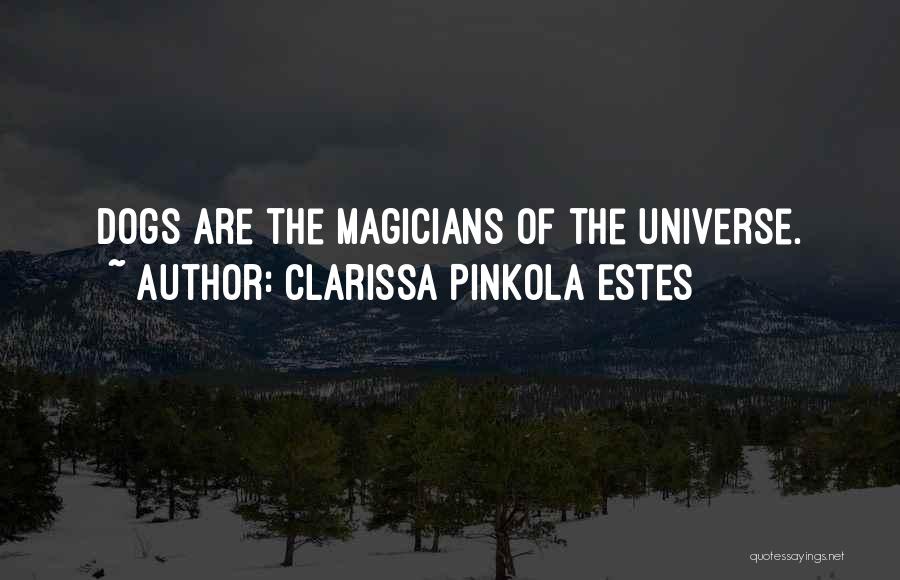 Magicians Quotes By Clarissa Pinkola Estes