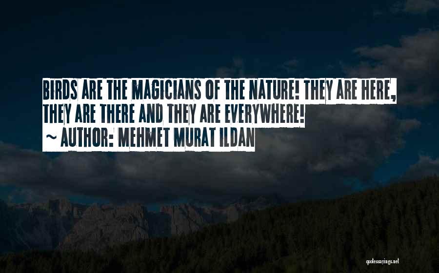 Magicians Quotes By Mehmet Murat Ildan