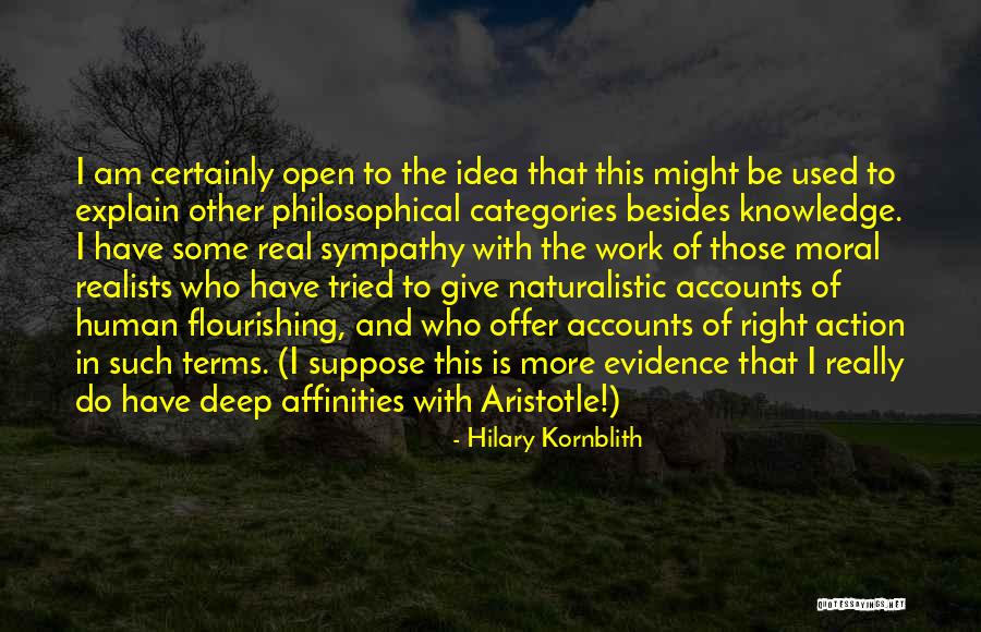 Maginon Vision Quotes By Hilary Kornblith Maginon Vision Quotes By Hilary Kornblith