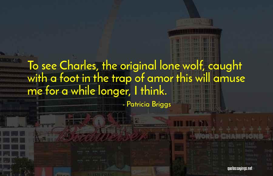 Maginon Vision Quotes By Patricia Briggs Maginon Vision Quotes By Patricia Briggs