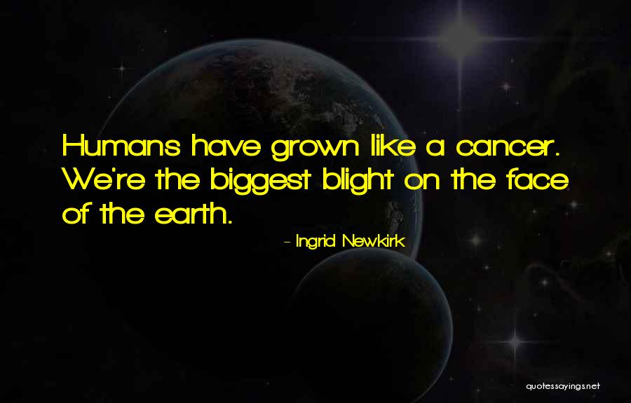 Magliano Dei Quotes By Ingrid Newkirk Magliano Dei Quotes By Ingrid Newkirk