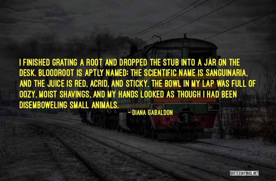 Maglieauxs Riverfront Quotes By Diana Gabaldon Maglieauxs Riverfront Quotes By Diana Gabaldon