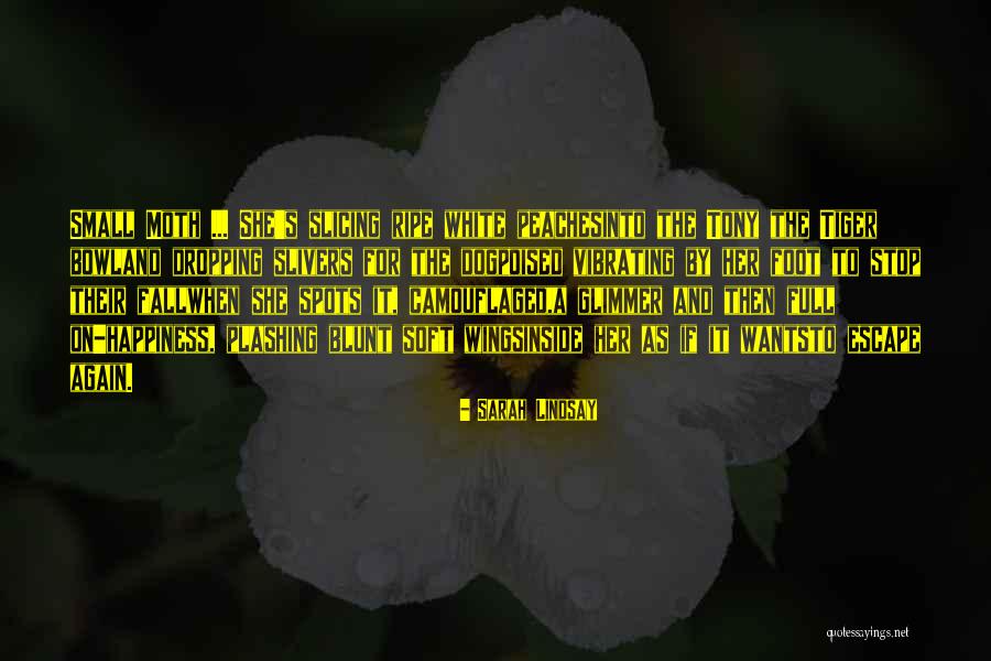 Maglubiyet Quotes By Sarah Lindsay Maglubiyet Quotes By Sarah Lindsay