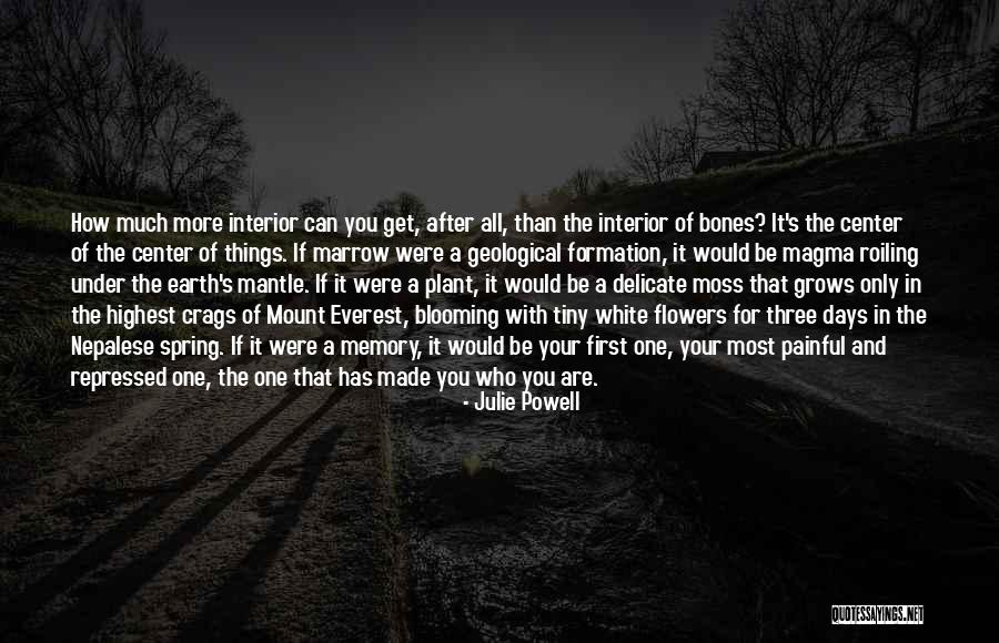 Magma Quotes By Julie Powell