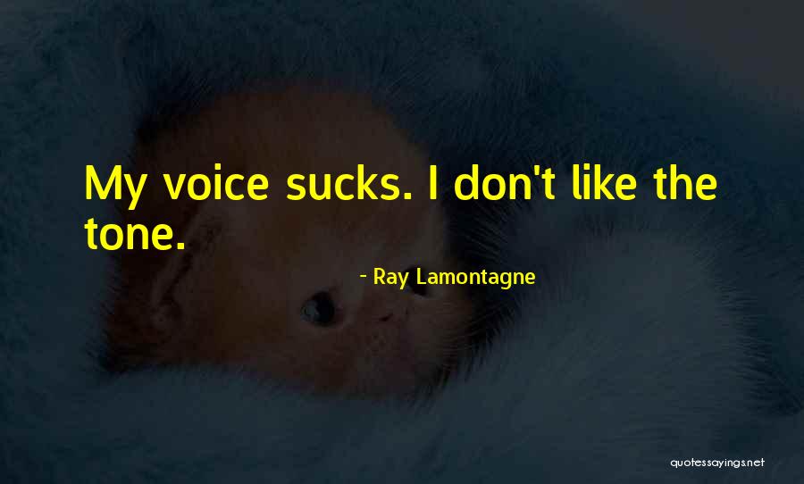 Magnaghi Aerospace Quotes By Ray Lamontagne Magnaghi Aerospace Quotes By Ray Lamontagne