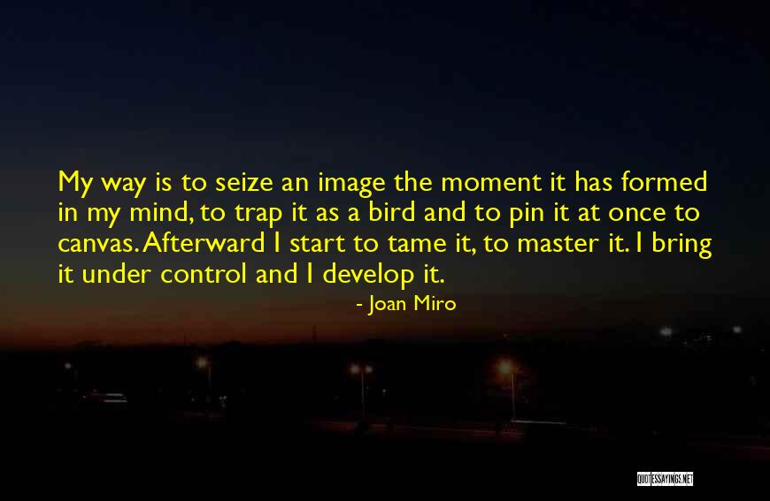 Magnanimidad Definicion Quotes By Joan Miro Magnanimidad Definicion Quotes By Joan Miro