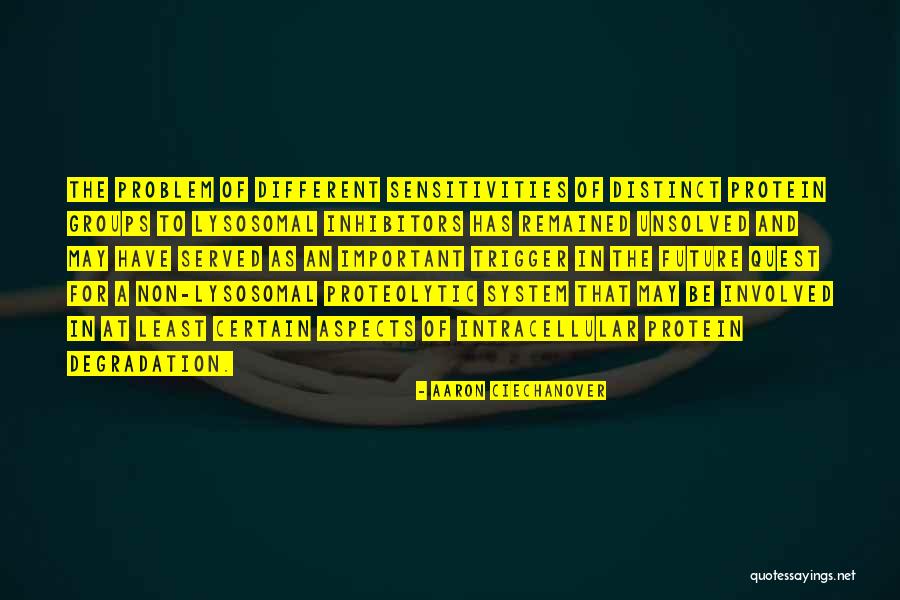Magnasco Bacchanale Quotes By Aaron Ciechanover Magnasco Bacchanale Quotes By Aaron Ciechanover