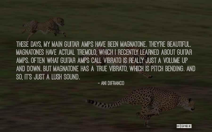 Magnatones Quotes By Ani DiFranco Magnatones Quotes By Ani DiFranco