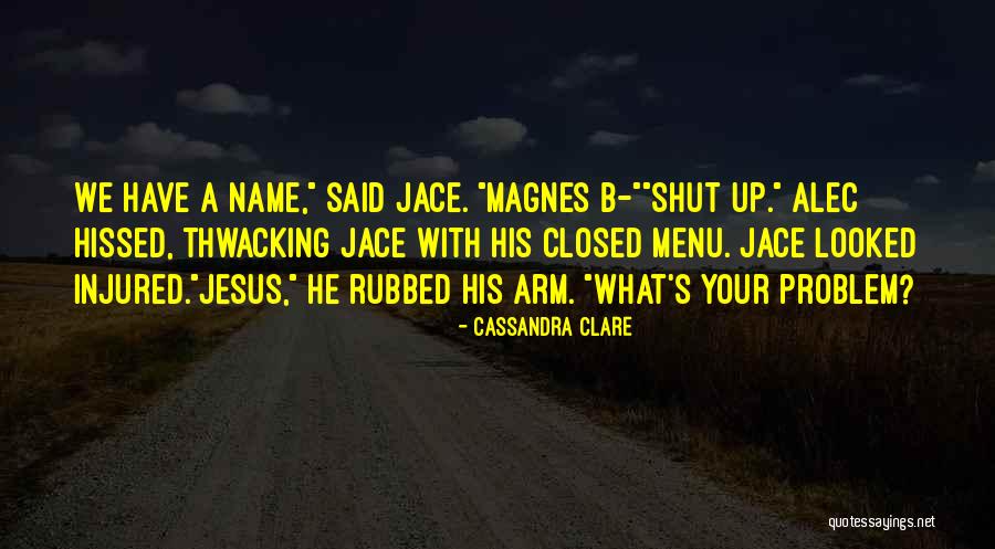 Magnes Quotes By Cassandra Clare Magnes Quotes By Cassandra Clare