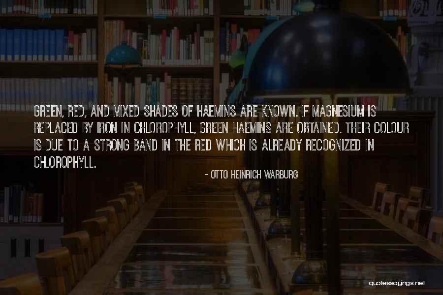 Magnesium Quotes By Otto Heinrich Warburg Magnesium Quotes By Otto Heinrich Warburg