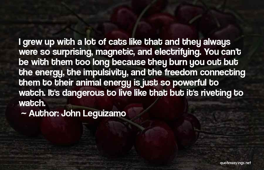 Magnetic Energy Quotes By John Leguizamo