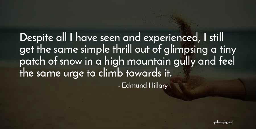 Magnetique Biotin Quotes By Edmund Hillary Magnetique Biotin Quotes By Edmund Hillary