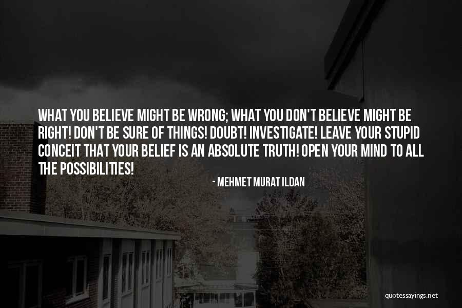 Magnetizing Reactance Quotes By Mehmet Murat Ildan