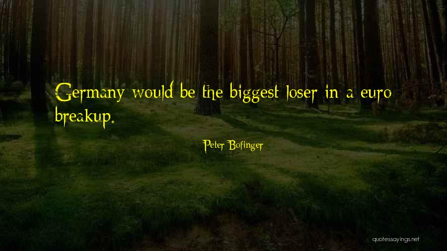 Magnetometers Walk Quotes By Peter Bofinger Magnetometers Walk Quotes By Peter Bofinger