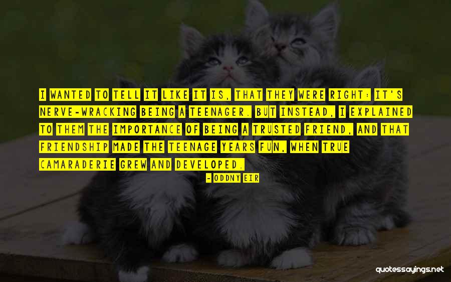 Magnificas Quotes By Oddny Eir Magnificas Quotes By Oddny Eir