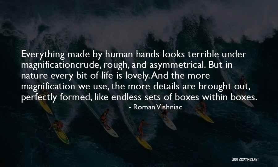 Magnification Quotes By Roman Vishniac