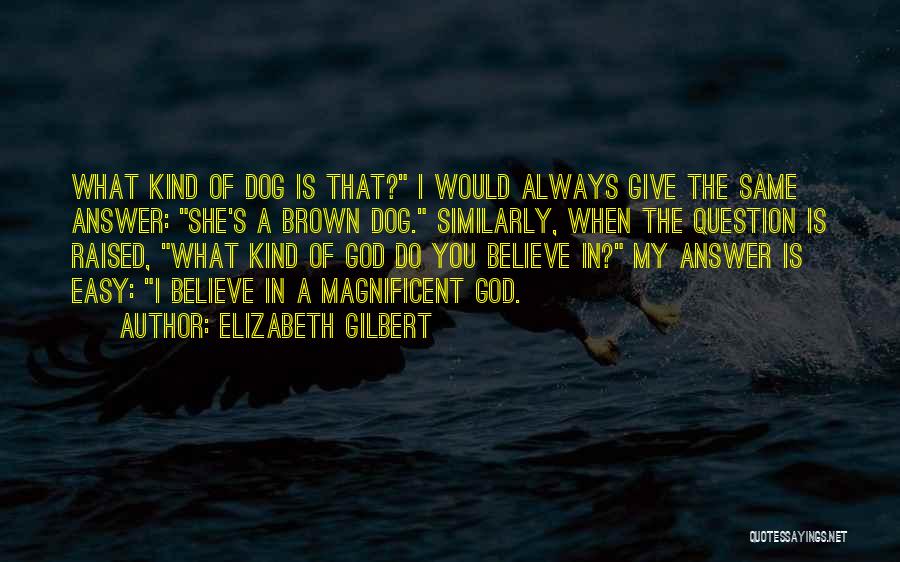 Magnificent God Quotes By Elizabeth Gilbert