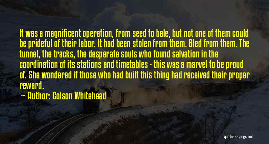 Magnificent Quotes By Colson Whitehead