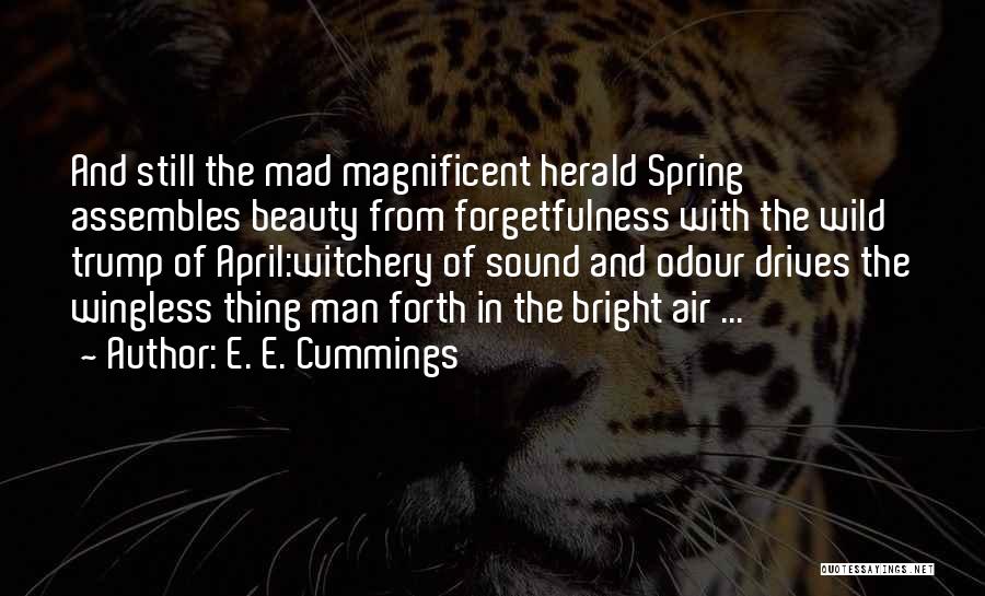 Magnificent Quotes By E. E. Cummings