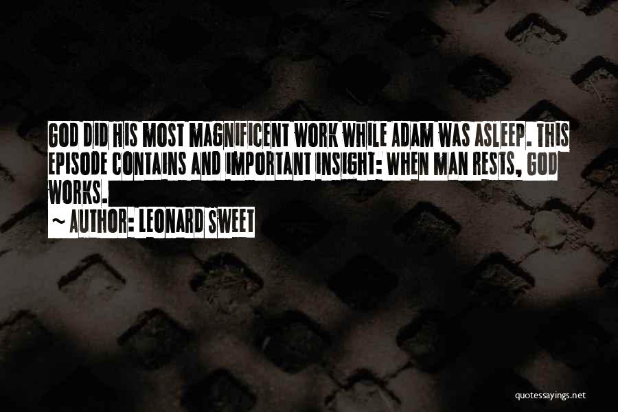 Magnificent Quotes By Leonard Sweet