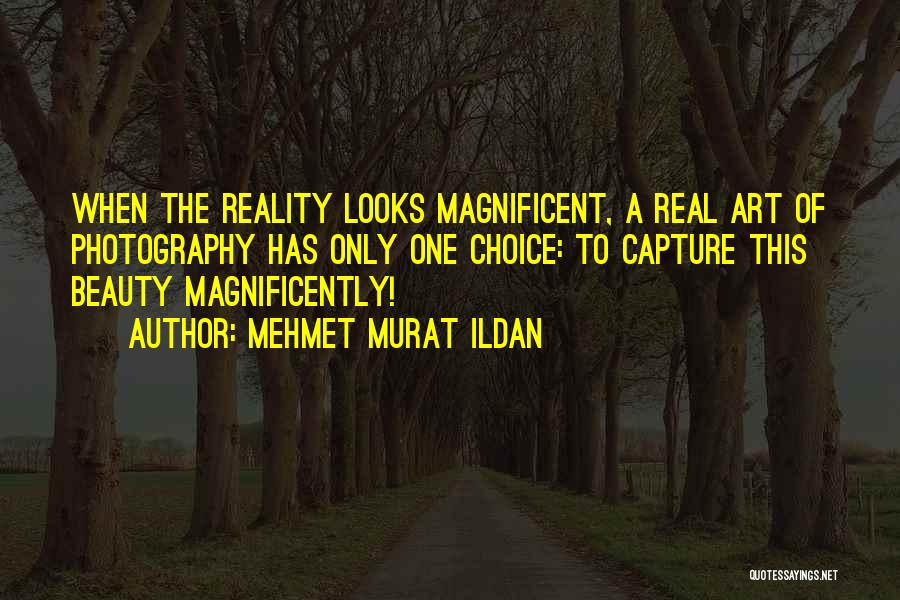 Magnificent Quotes By Mehmet Murat Ildan