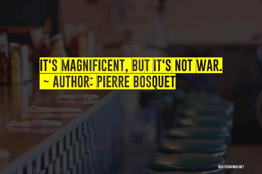 Magnificent Quotes By Pierre Bosquet