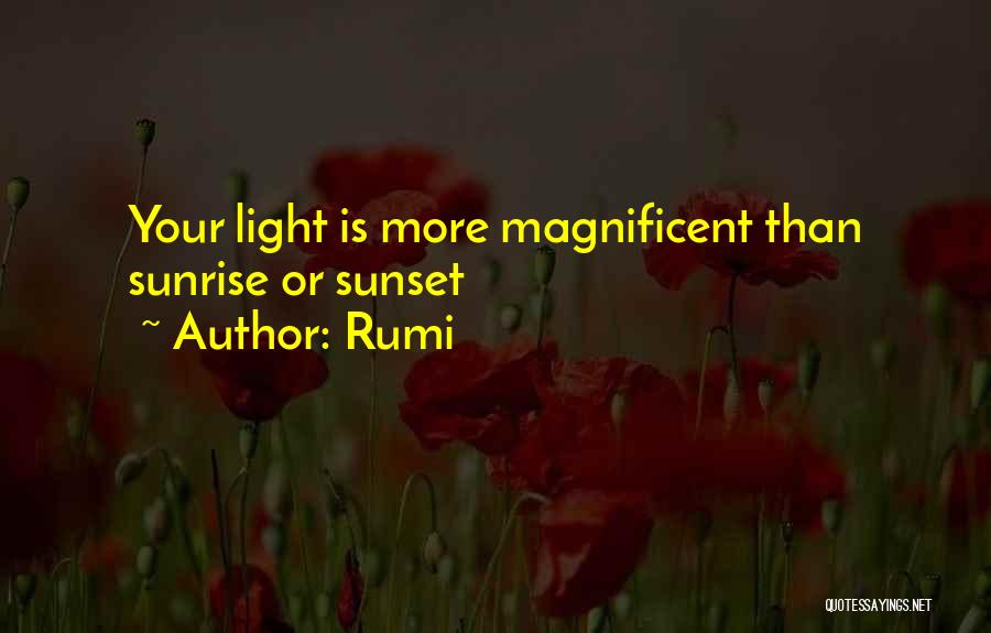 Magnificent Quotes By Rumi