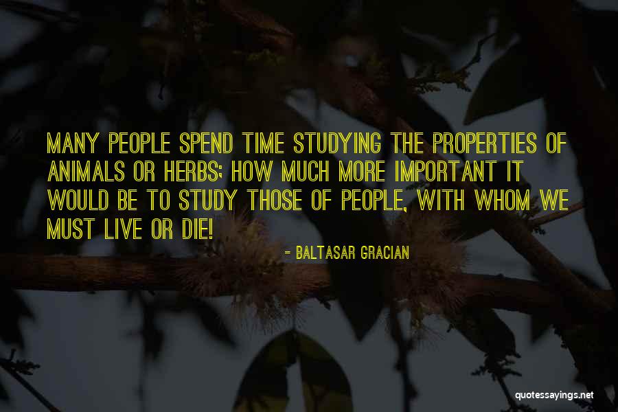 Magnificils Quotes By Baltasar Gracian Magnificils Quotes By Baltasar Gracian