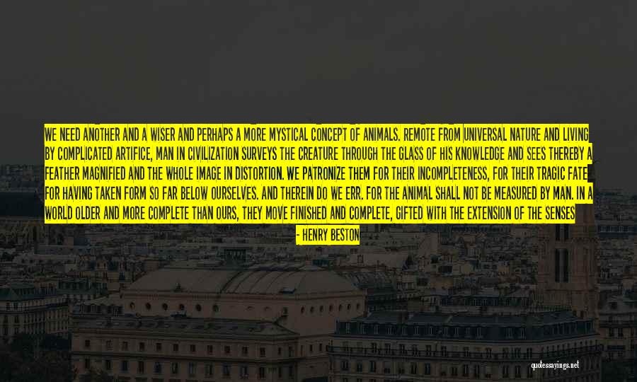 Magnified Quotes By Henry Beston Magnified Quotes By Henry Beston